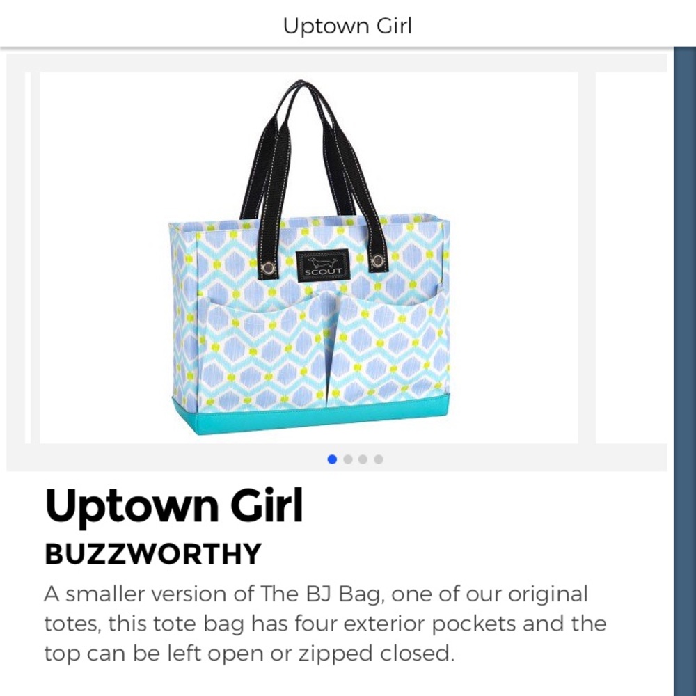 In search of a Uptown Girl Scout bag